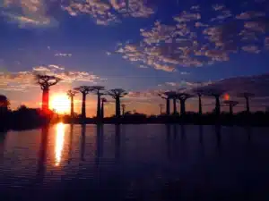 Coucher de soleil, allée des baobabs, Morondava, voyage dans l'ouest de Madagascar