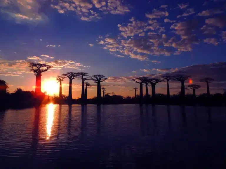 Coucher de soleil, allée des baobabs, Morondava, voyage dans l'ouest de Madagascar